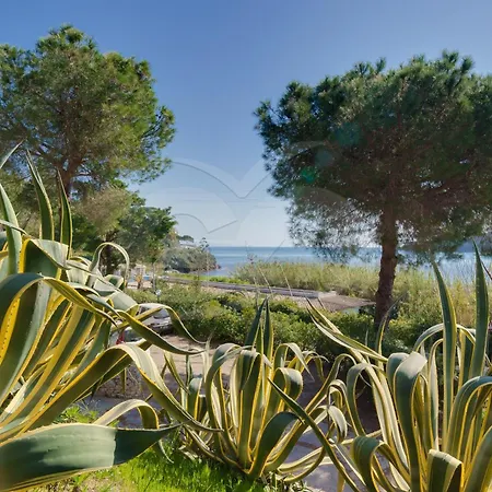 Apartmán Sud Est - Goelba