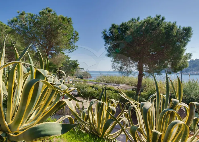 Apartman Sud Est - Goelba